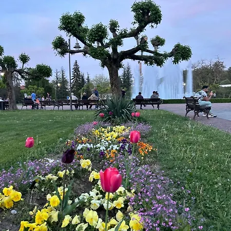 Апарт-отель Drina Баня-Ковиляча