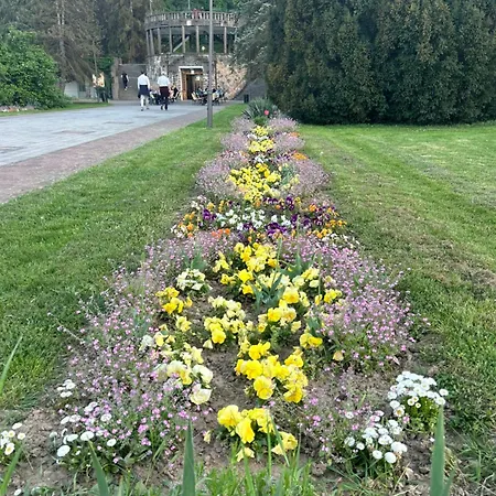 Drina Апарт-отель Баня-Ковиляча